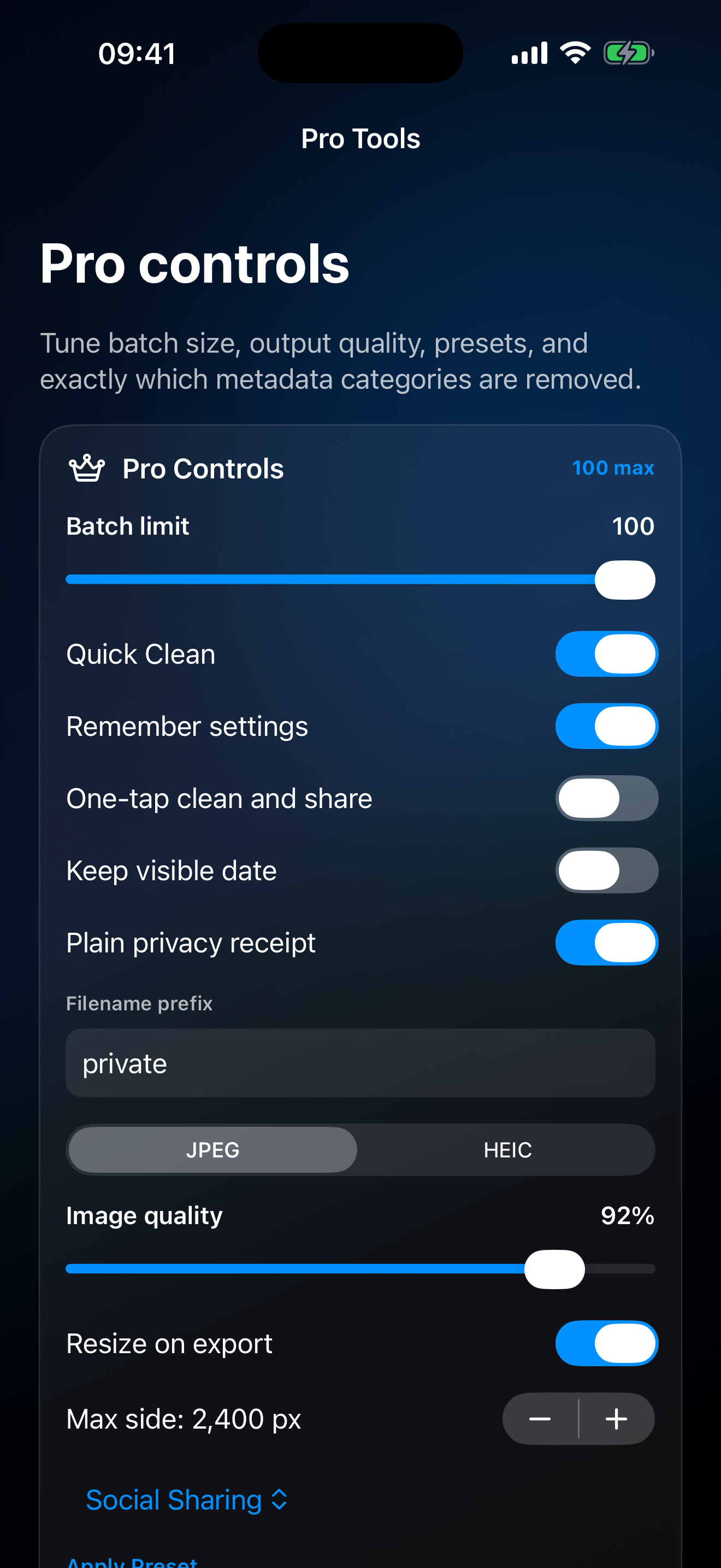 Pro controls for batch size, output quality, presets, and metadata categories.