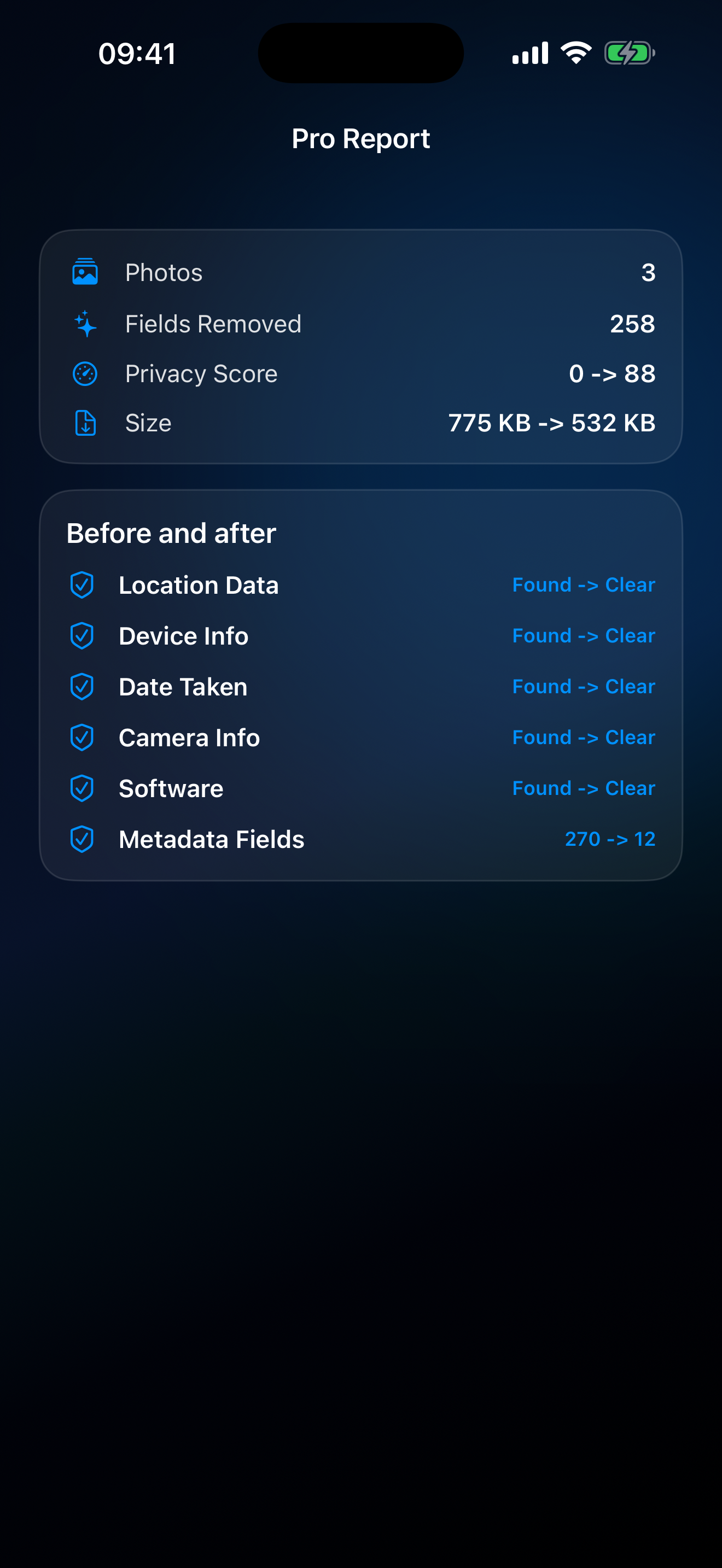 Pro report with before and after metadata results.